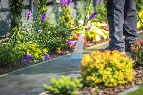 Best Gutter Cleaning  in Mccamey, TX